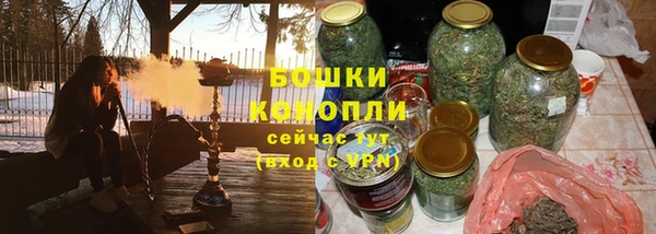 индика Богданович